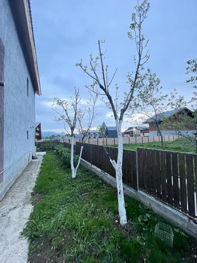Villa In Bakuriani Exterior foto